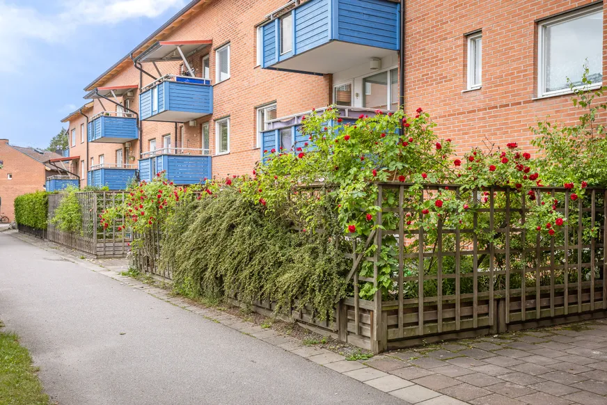 Fullskärm
