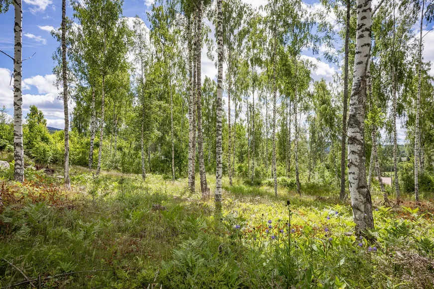 Tomt, Liljekonvaljbacken 3, Allsta, Sundsvall