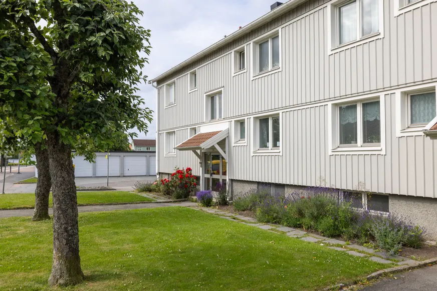 Fullskärm