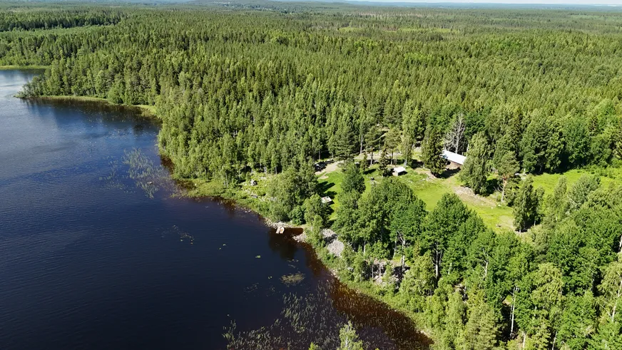 Fullskärm