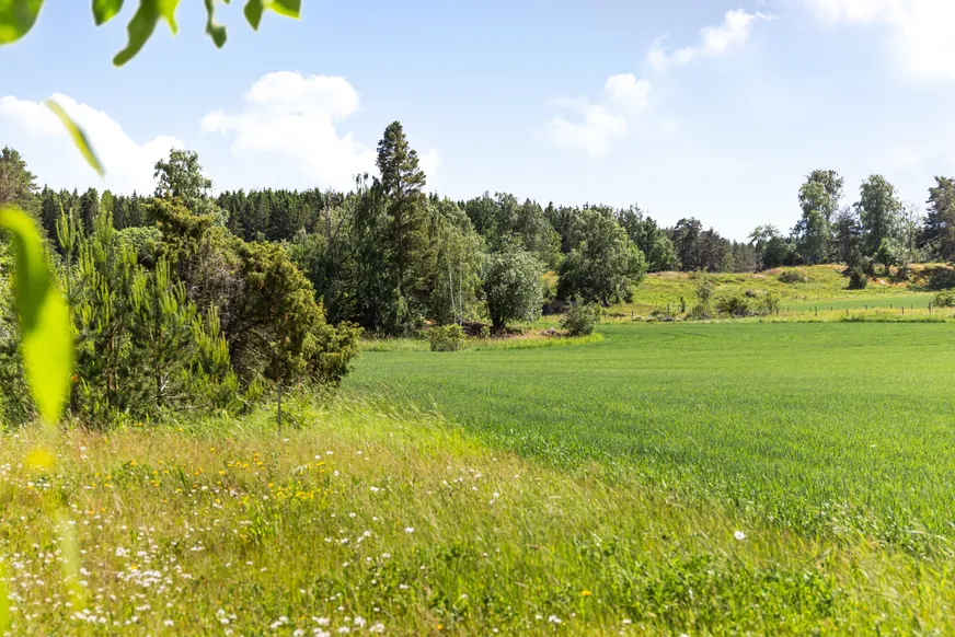 Fullskärm