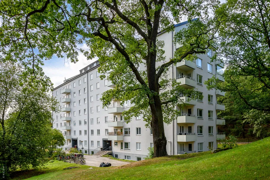 Fullskärm