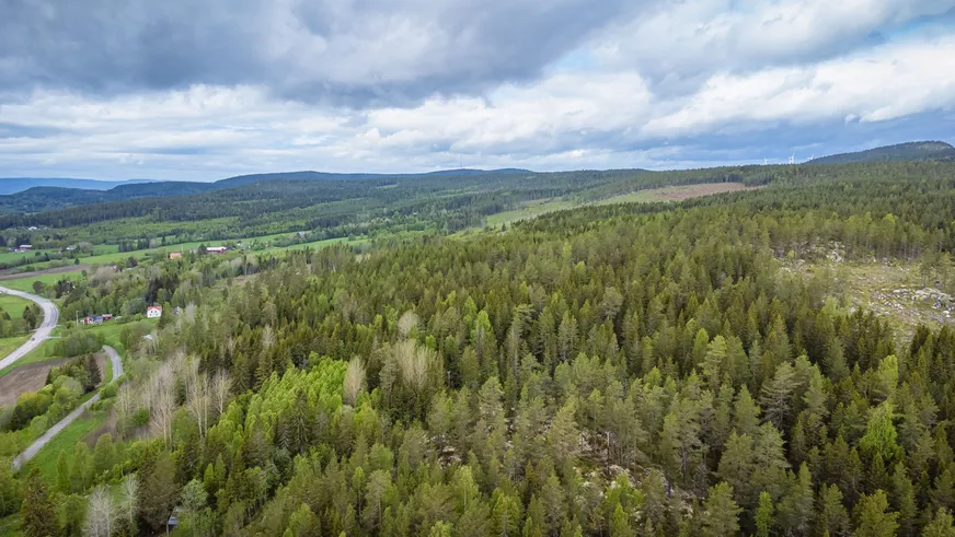Fullskärm