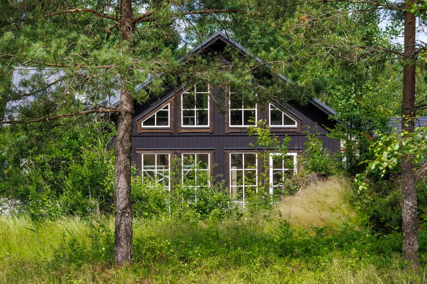 Fullskärm