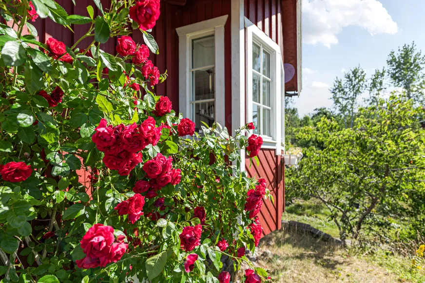 Fullskärm