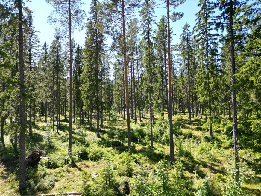 Fullskärm
