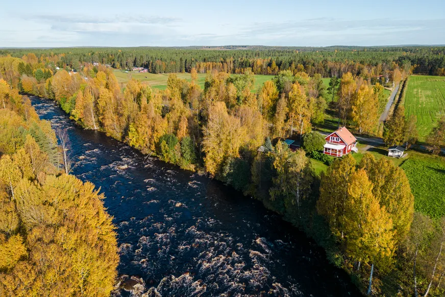 Åbyn 513