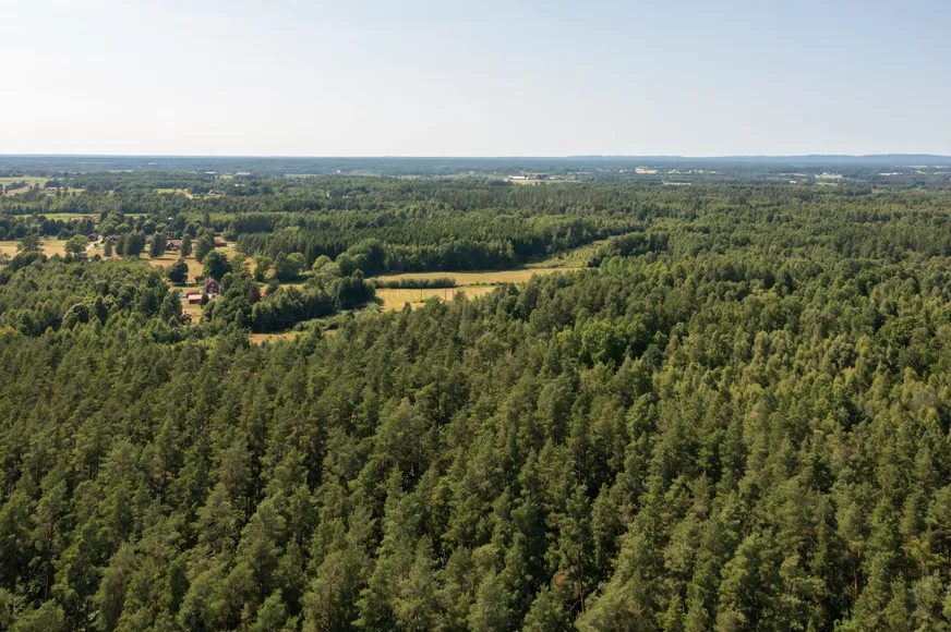Fullskärm