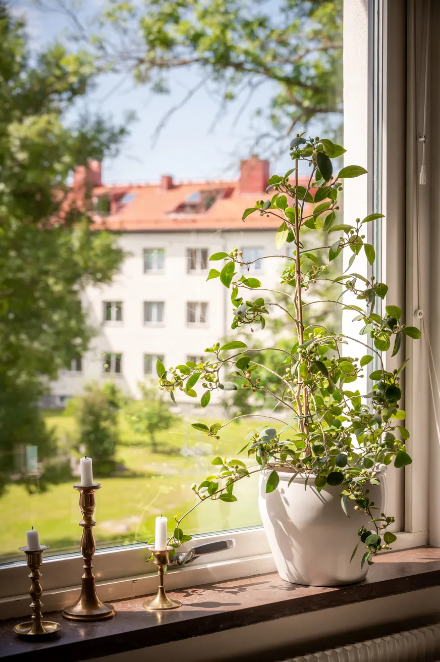 Fullskärm