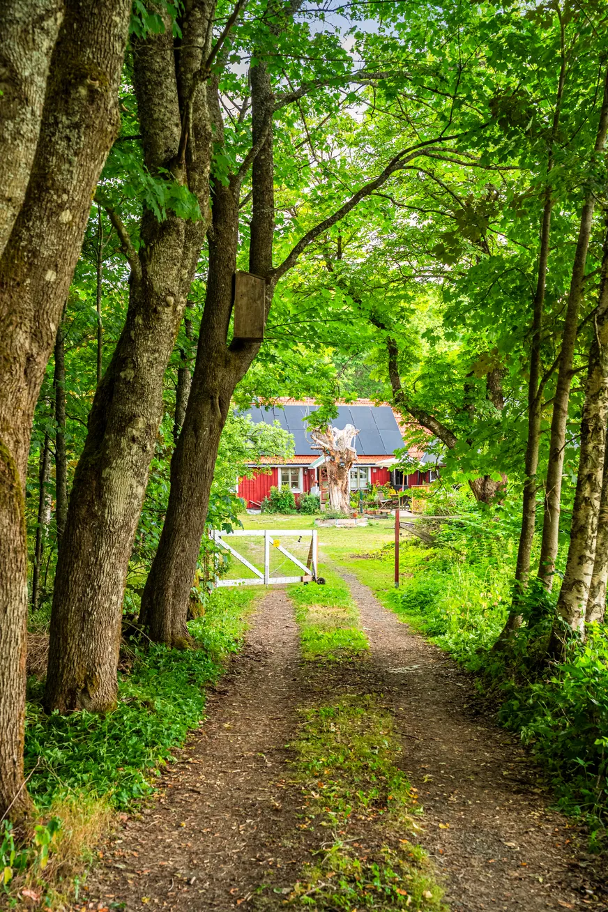 Fullskärm