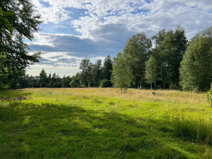 Fullskärm