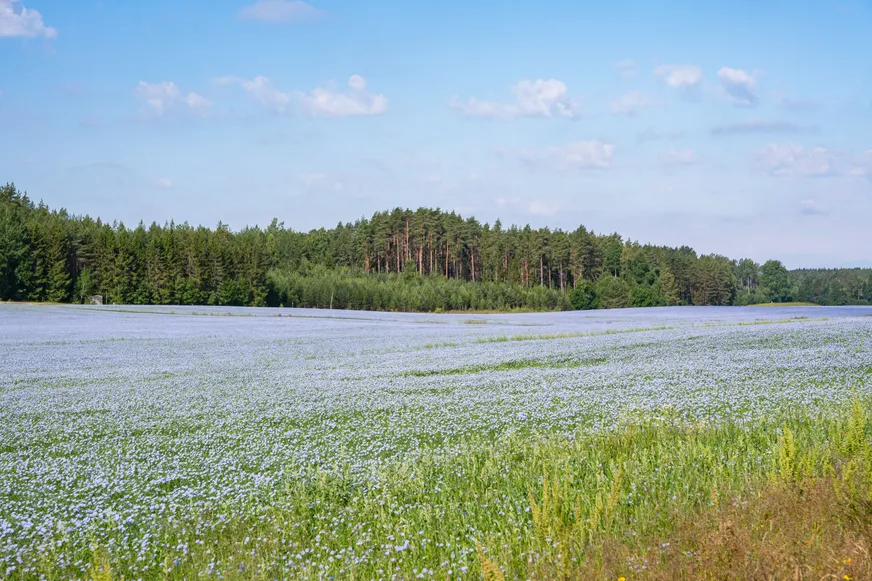 Målslätten 15 photo 5
