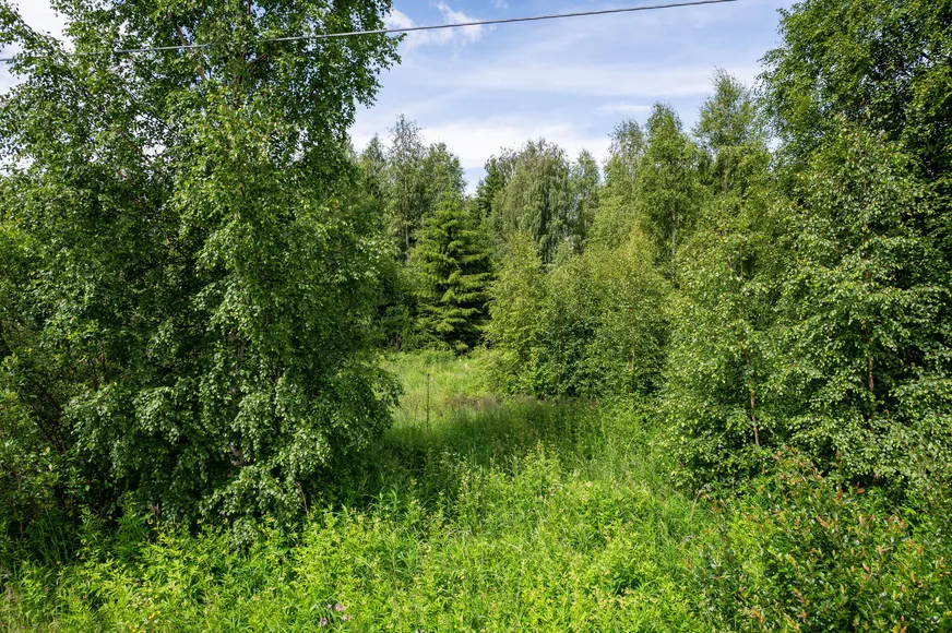Fullskärm
