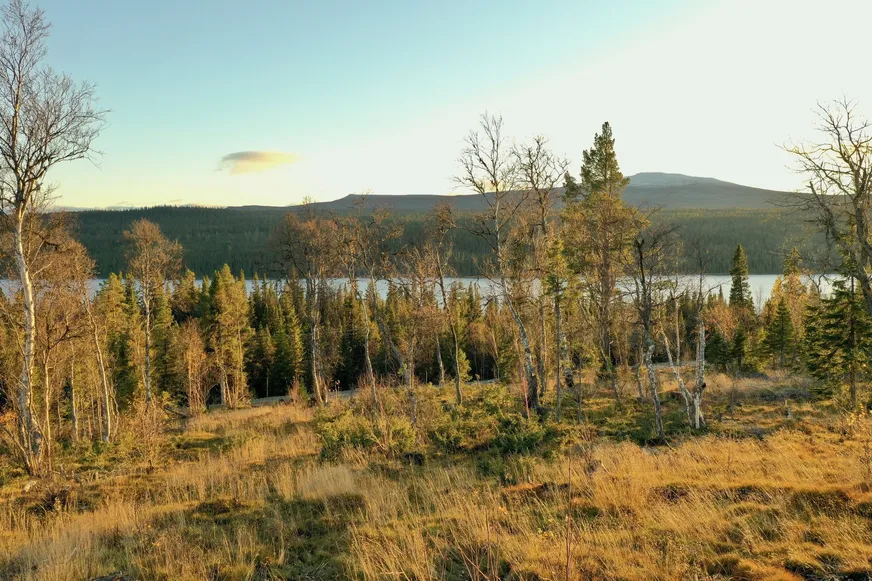 Fullskärm