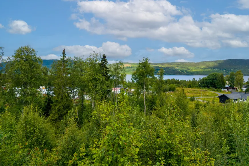 Sveavägen 15 photo 5