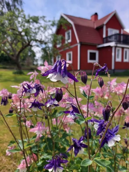 Fullskärm