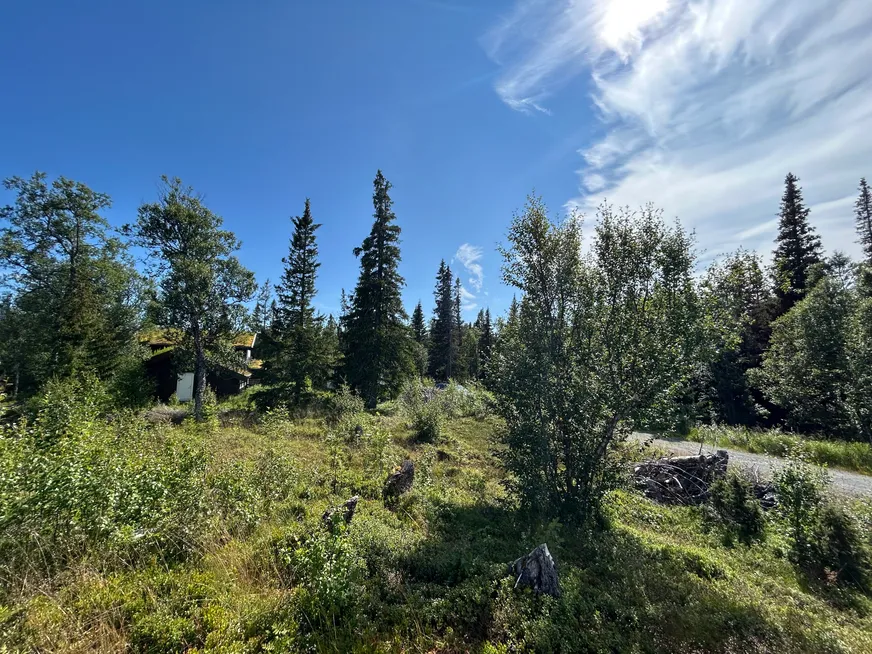 Fullskärm