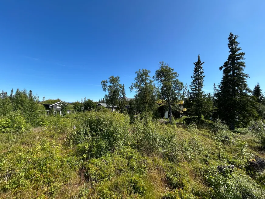 Fullskärm