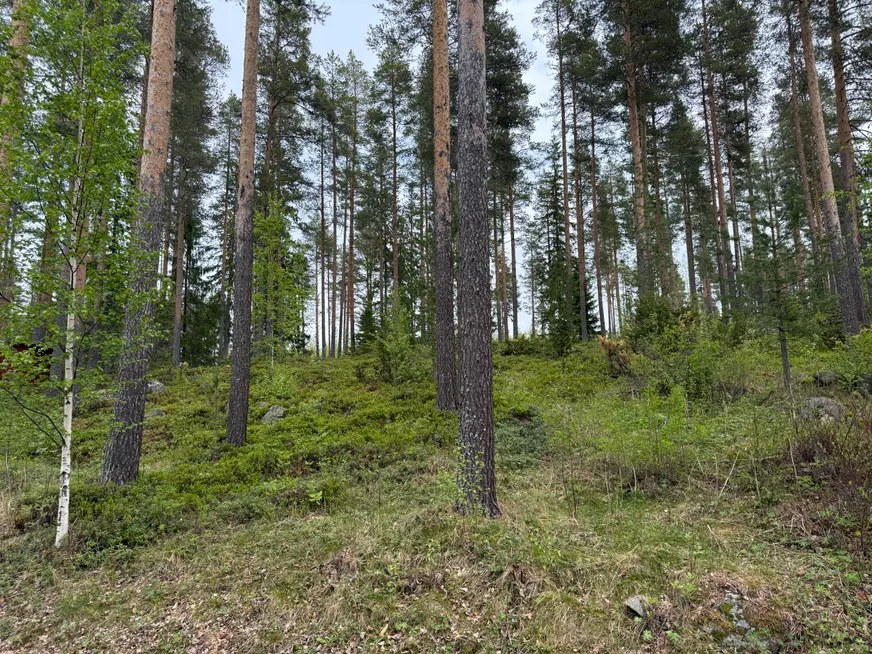 Fullskärm