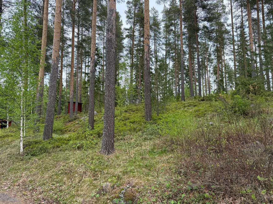 Falkträsket 47