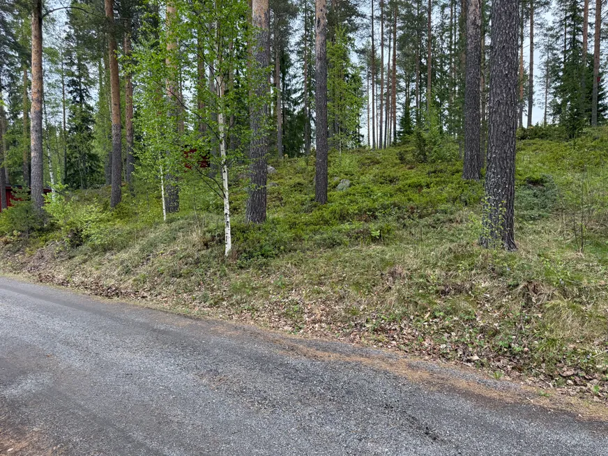 Falkträsket 47 photo 4