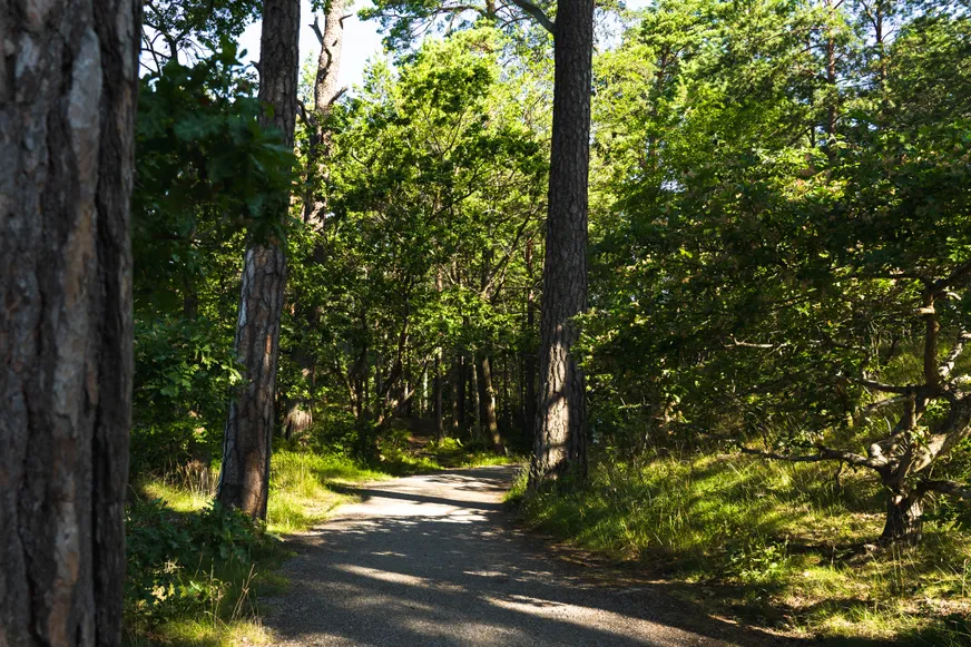 Fullskärm