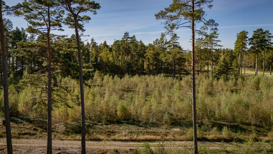 Fullskärm