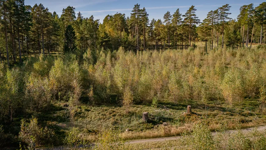 Tomt, Landviken 508, Segerstad, Karlstad