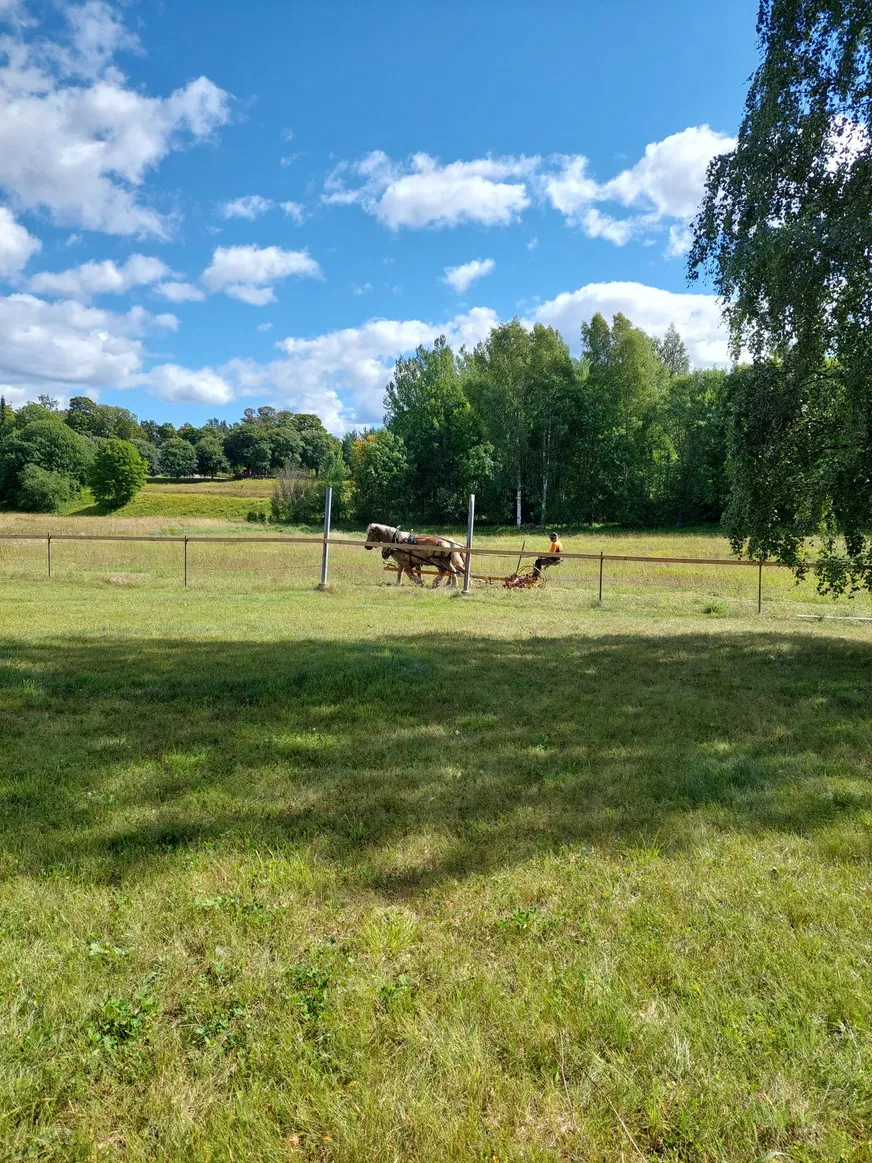 Fullskärm