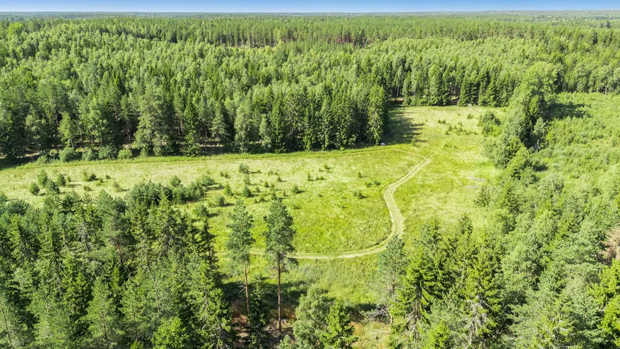 Fullskärm