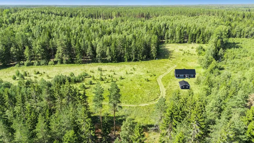 Holmskog photo 4