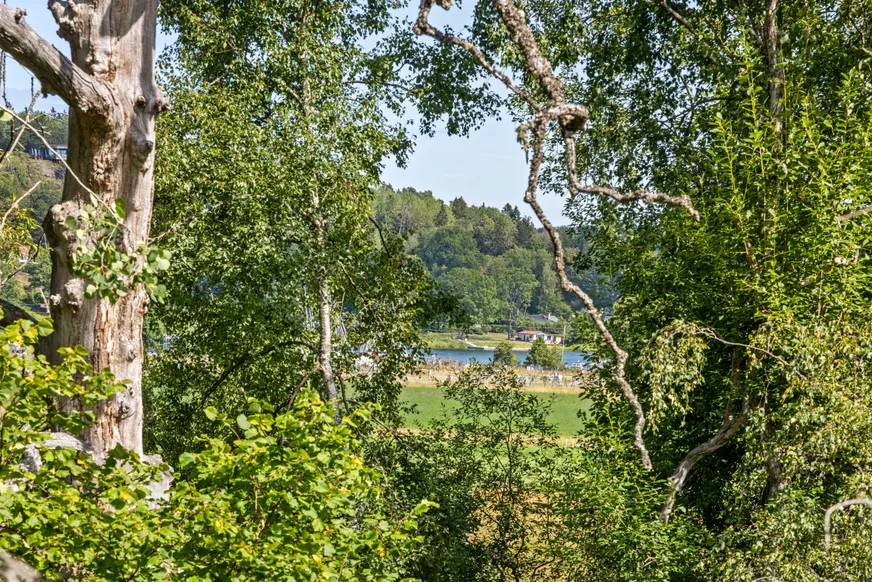 Fullskärm