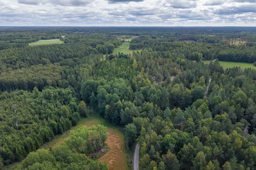 Grävsätter 1:5