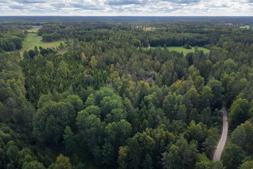 Fullskärm