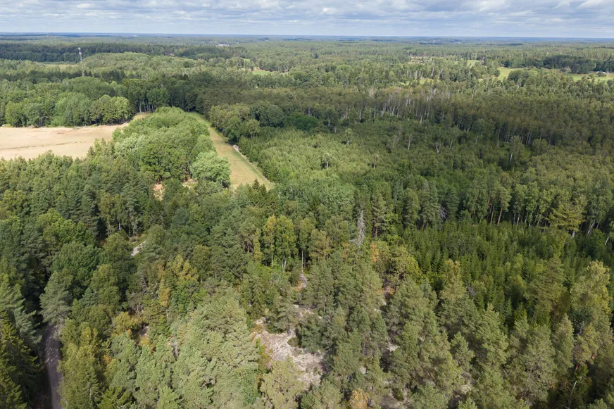 Grävsätter 1:5 photo 4