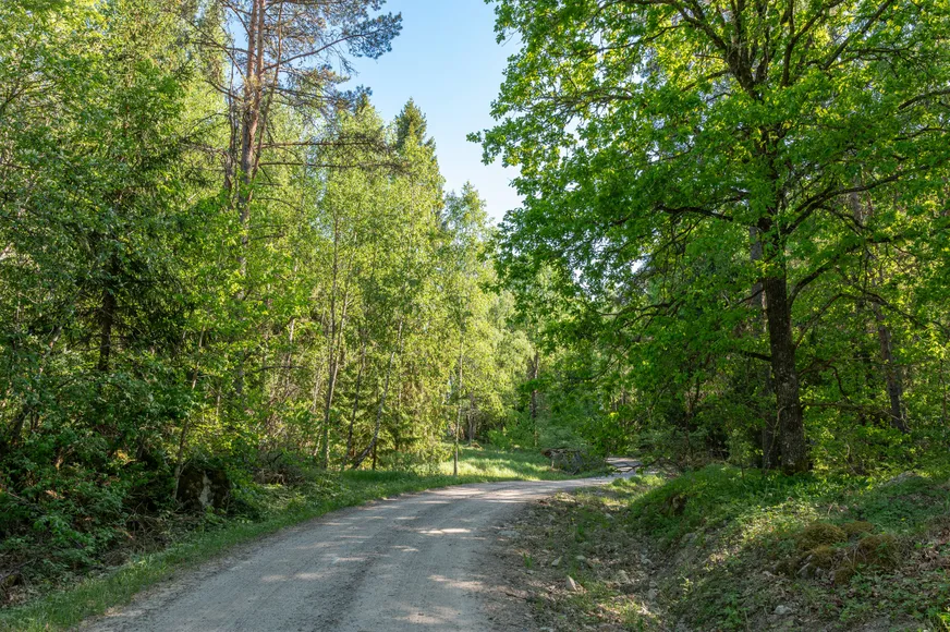 Grävsätter 1:5 photo 5