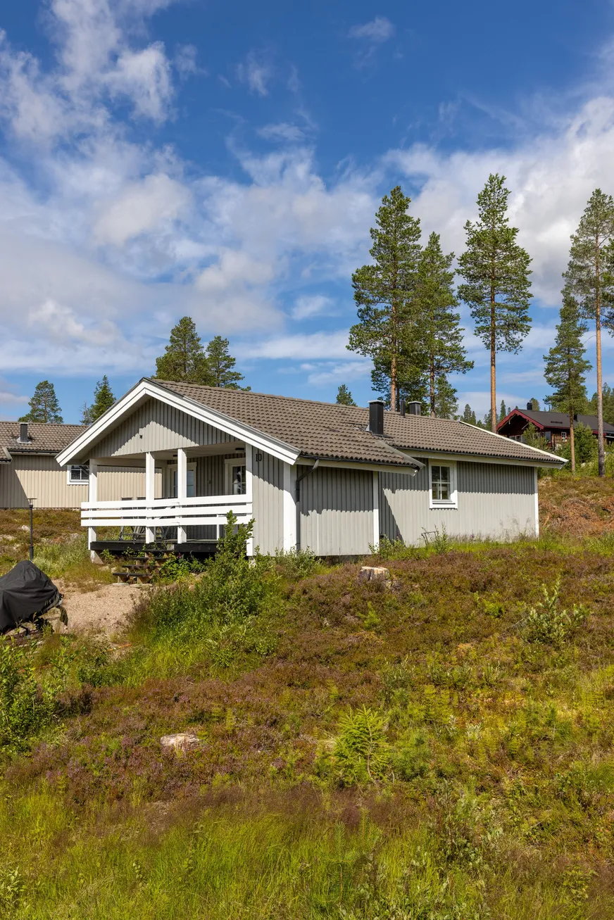 Lövhammaren Fjällviolen 10 photo 5
