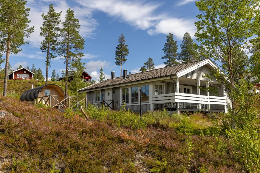 Lövhammaren Fjällviolen 10