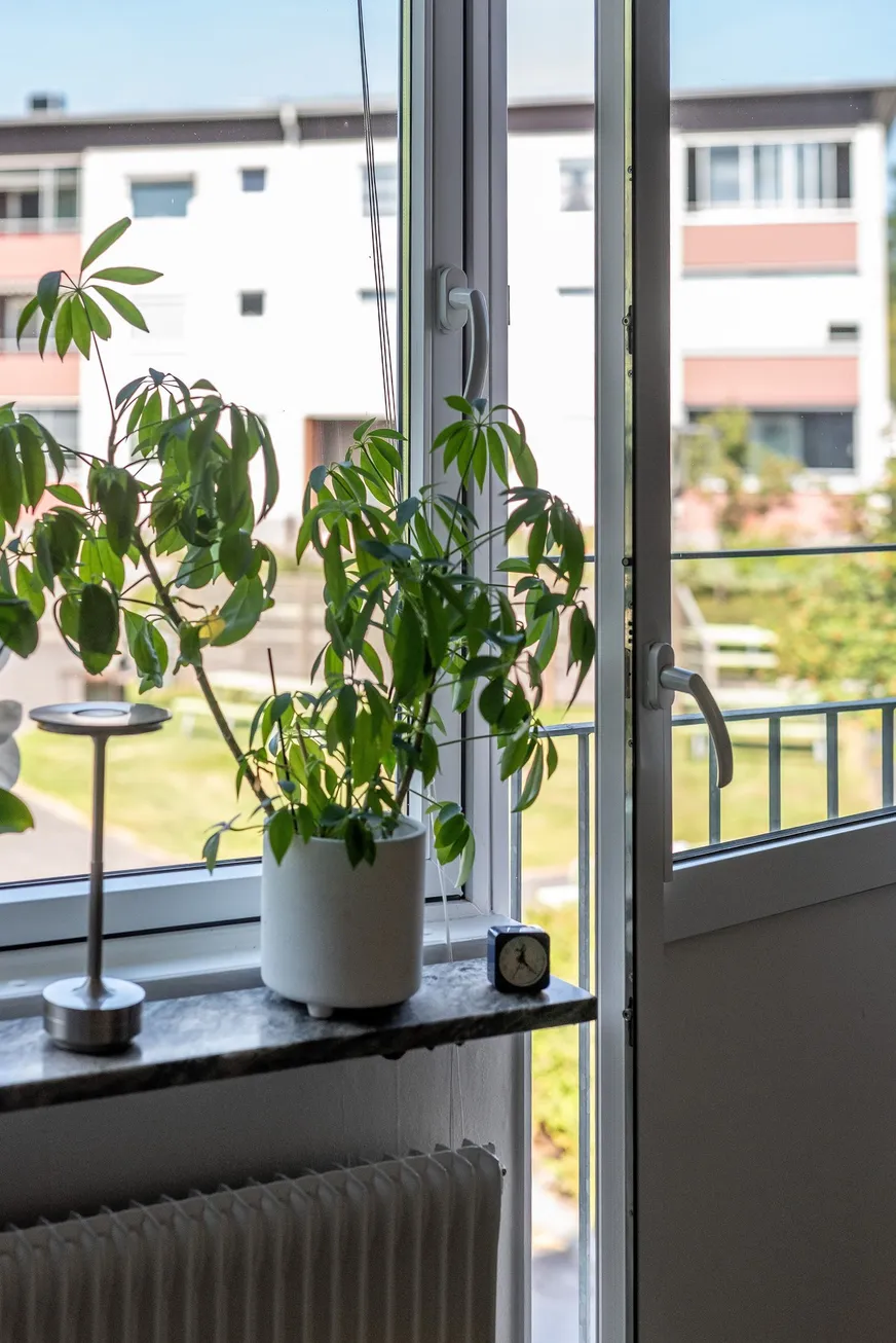 Fullskärm