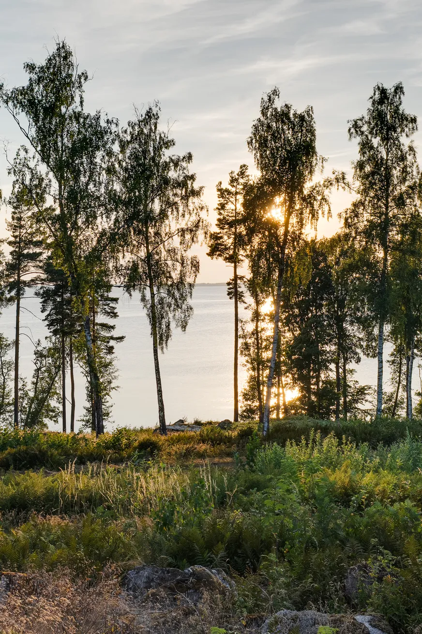 Fullskärm
