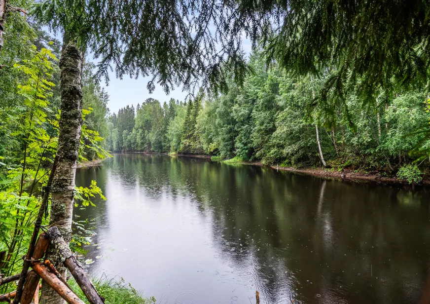 Fullskärm