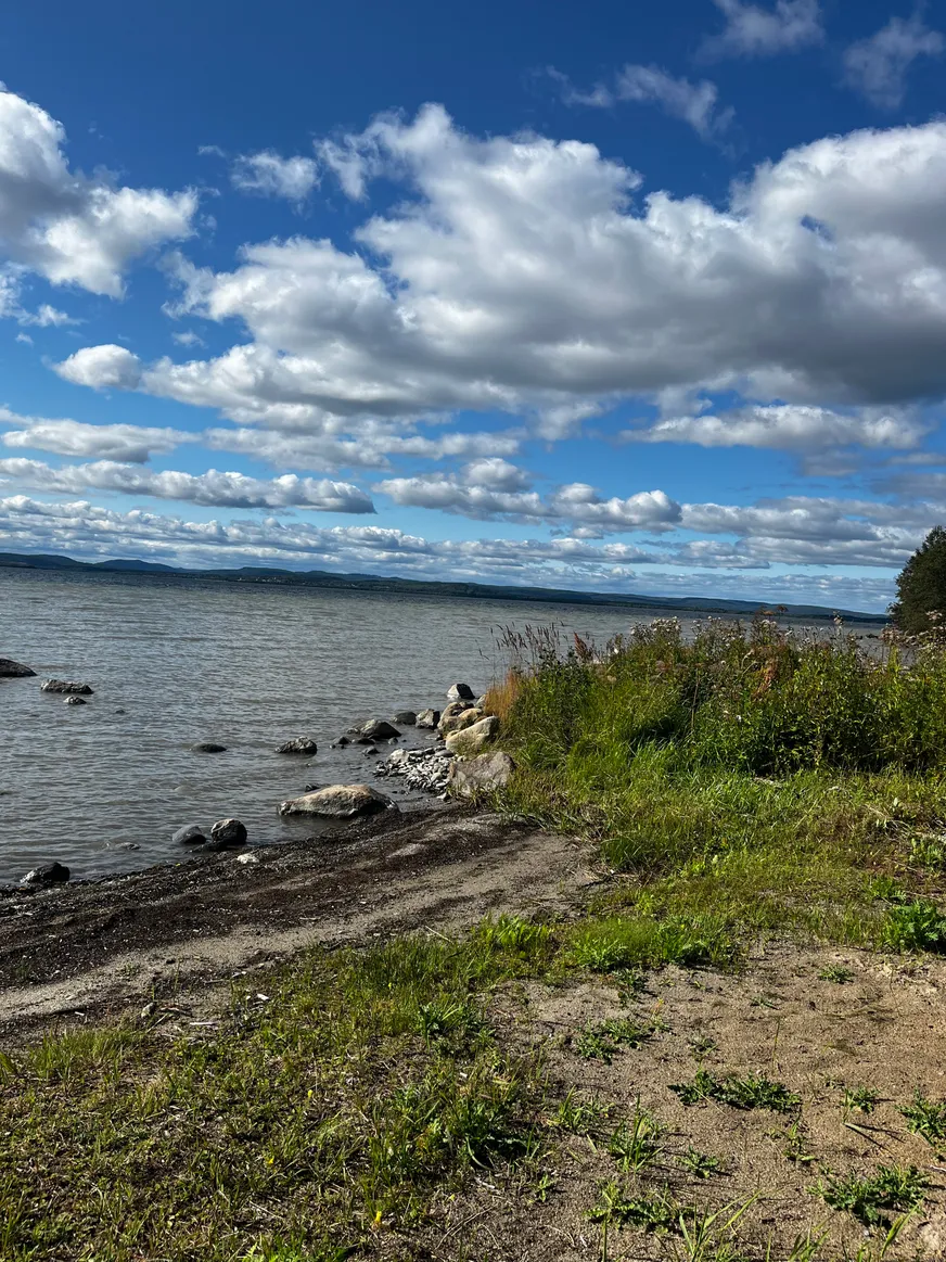TIMRÅ SKÄGGSTA 1:2