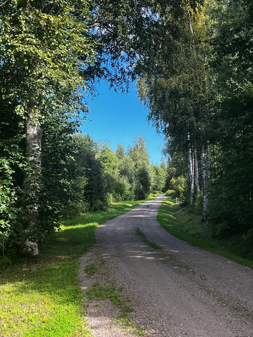 TIMRÅ SKÄGGSTA 1:2 photo 5
