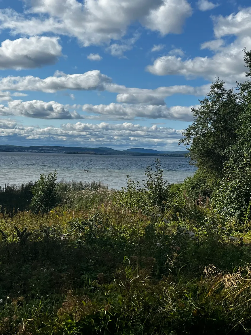 Fullskärm