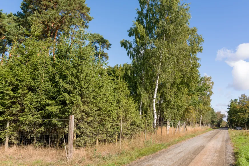 Fullskärm