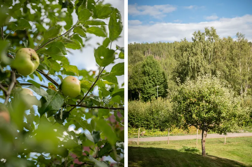 Bergsmansvägen 24 photo 4