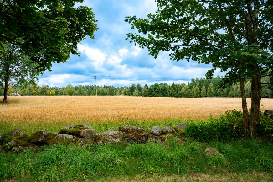Fullskärm