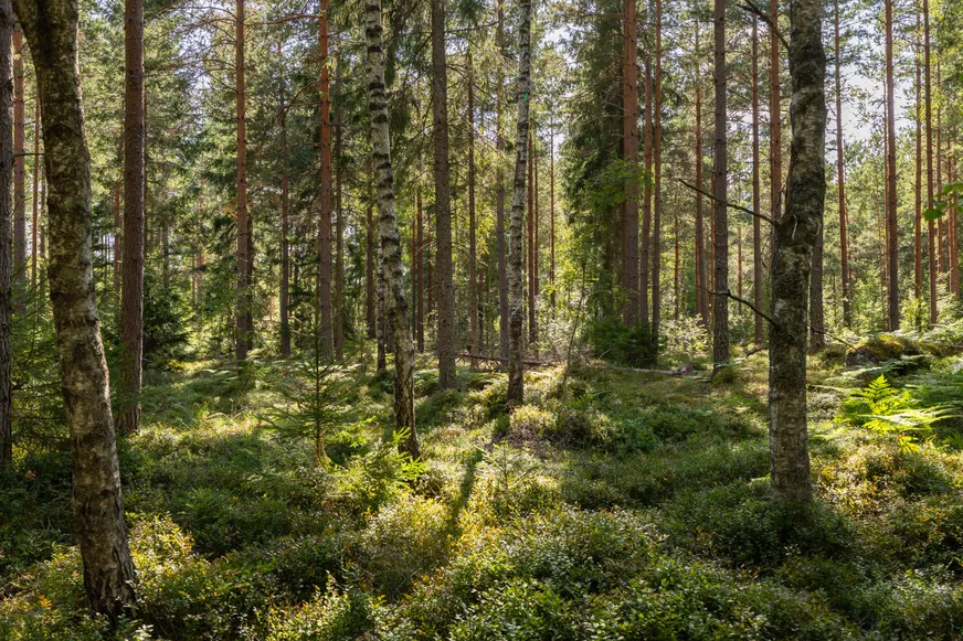 Örstorp 1 photo 5