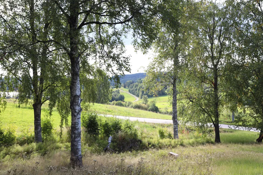 Fullskärm