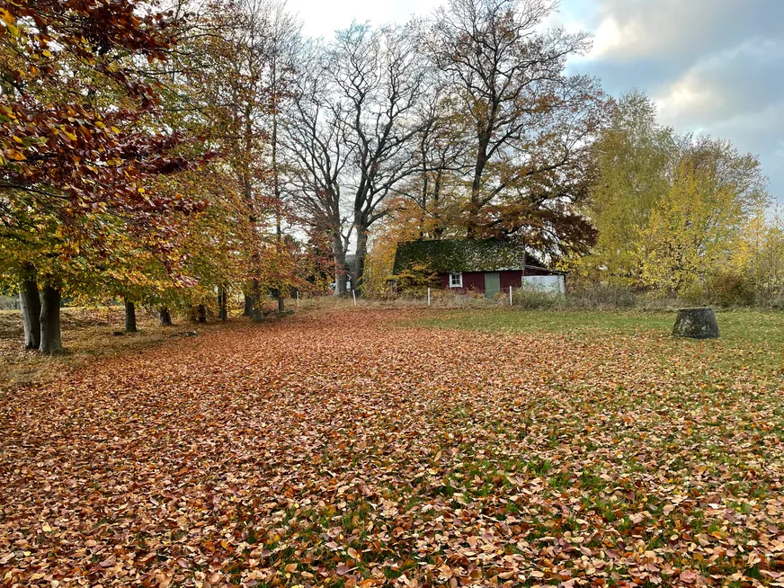 Varalövsvägen photo 4